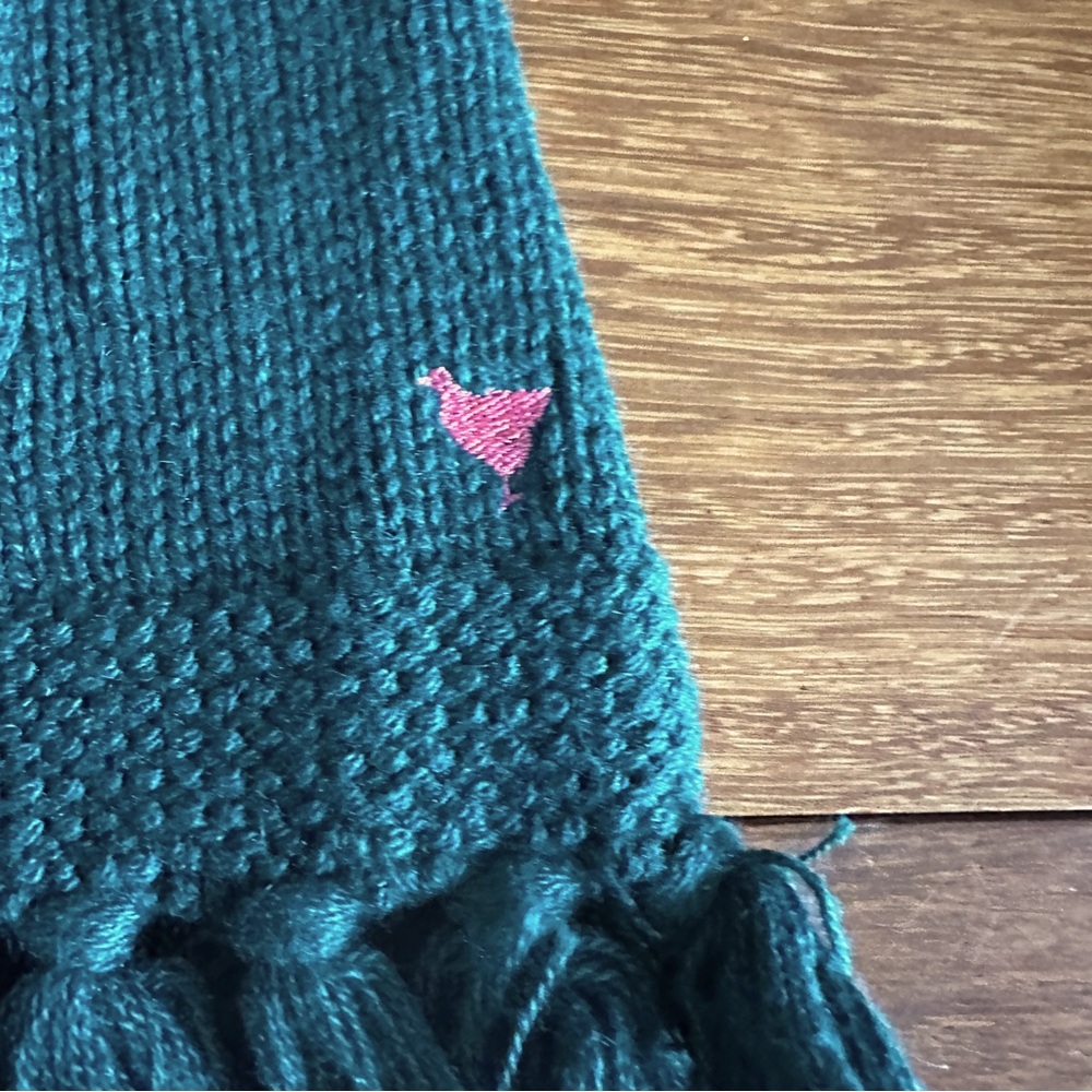Pink Chicken Green Fringe Cardigan - Sz 2T (runs big) - Picture 2 of 9